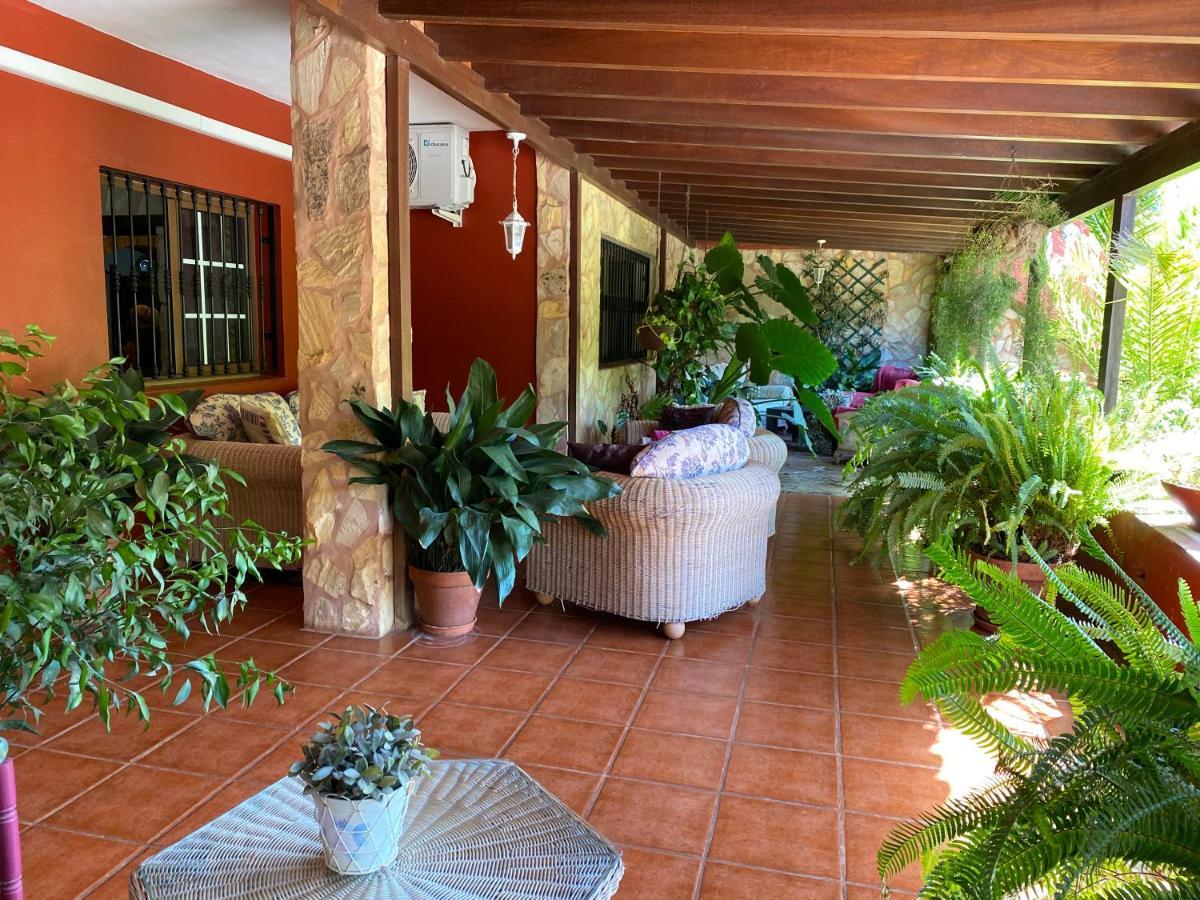 Casa Lazaro, Tegueste Εξωτερικό φωτογραφία
