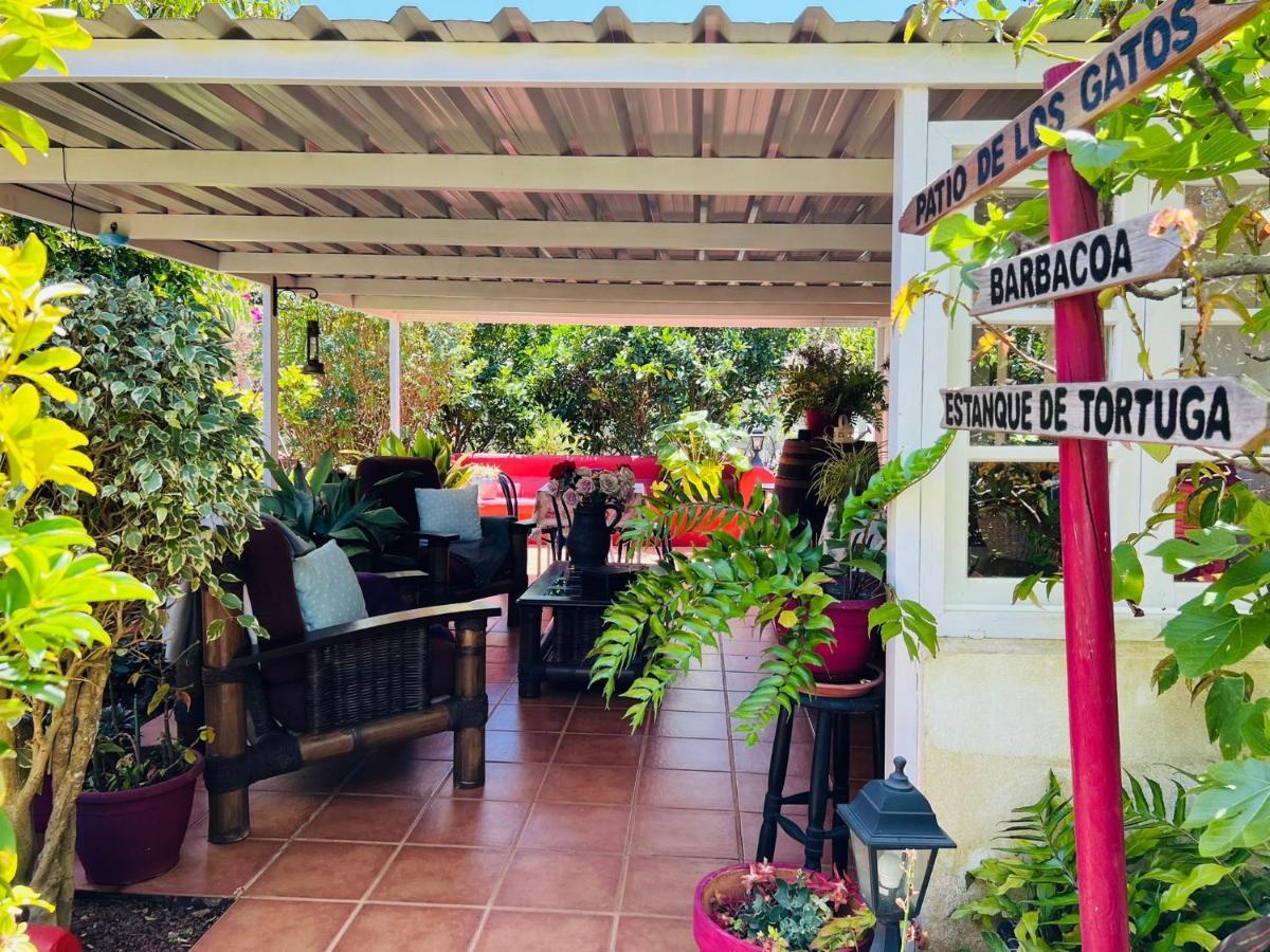 Casa Lazaro, Tegueste Εξωτερικό φωτογραφία